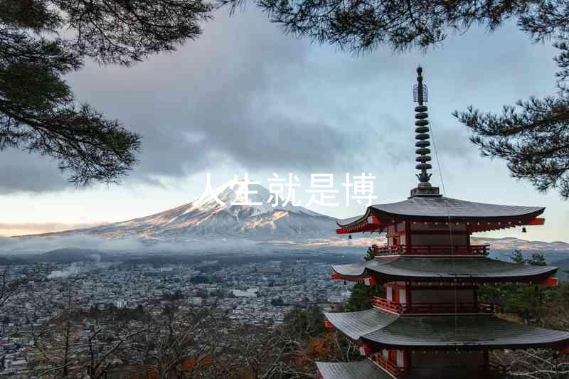人生就是博