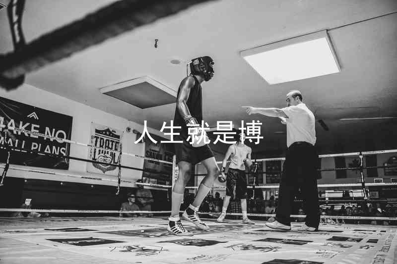 人生就是博