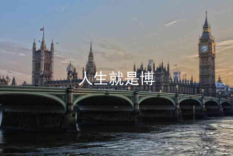 人生就是博