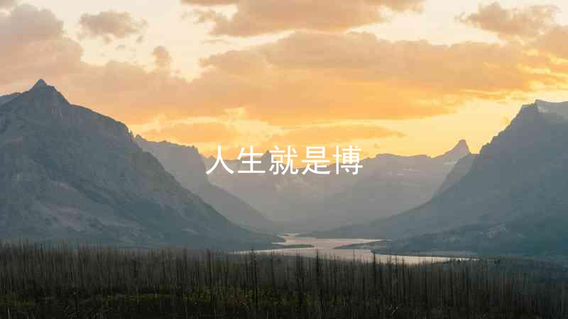 人生就是博