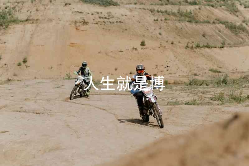 人生就是博