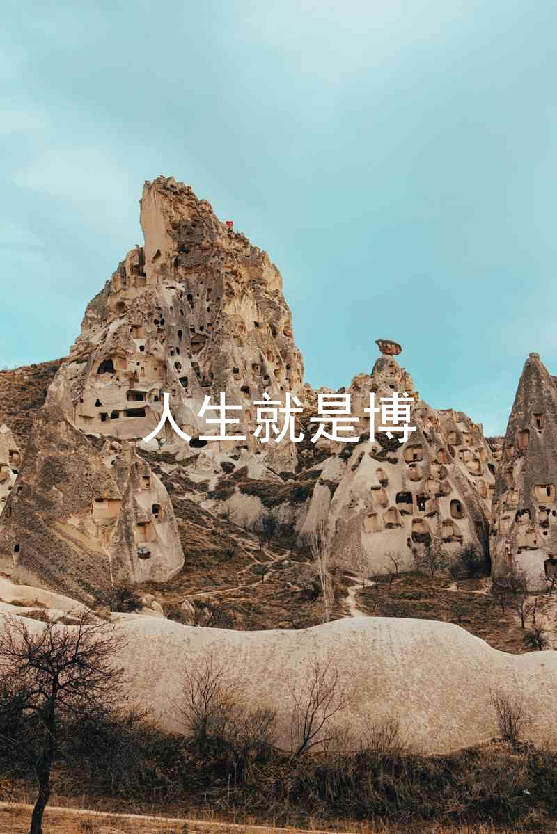 人生就是博