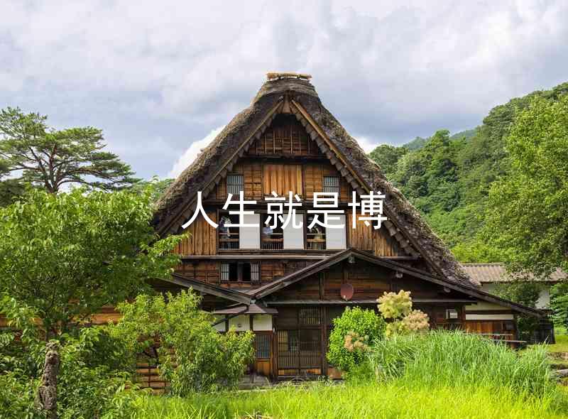 人生就是博